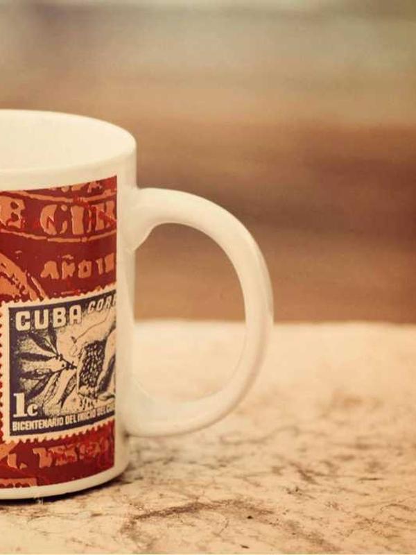 보드게임 팀 사진